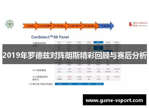 2019年罗德兹对阵朗斯精彩回顾与赛后分析